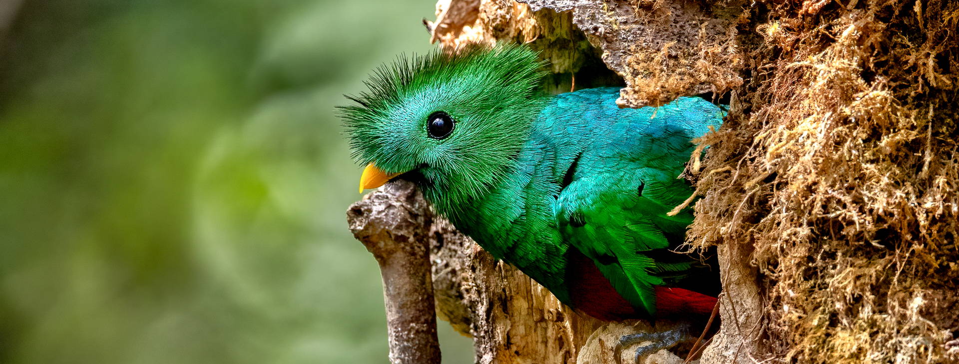 Ubytování PKN Obrázek31