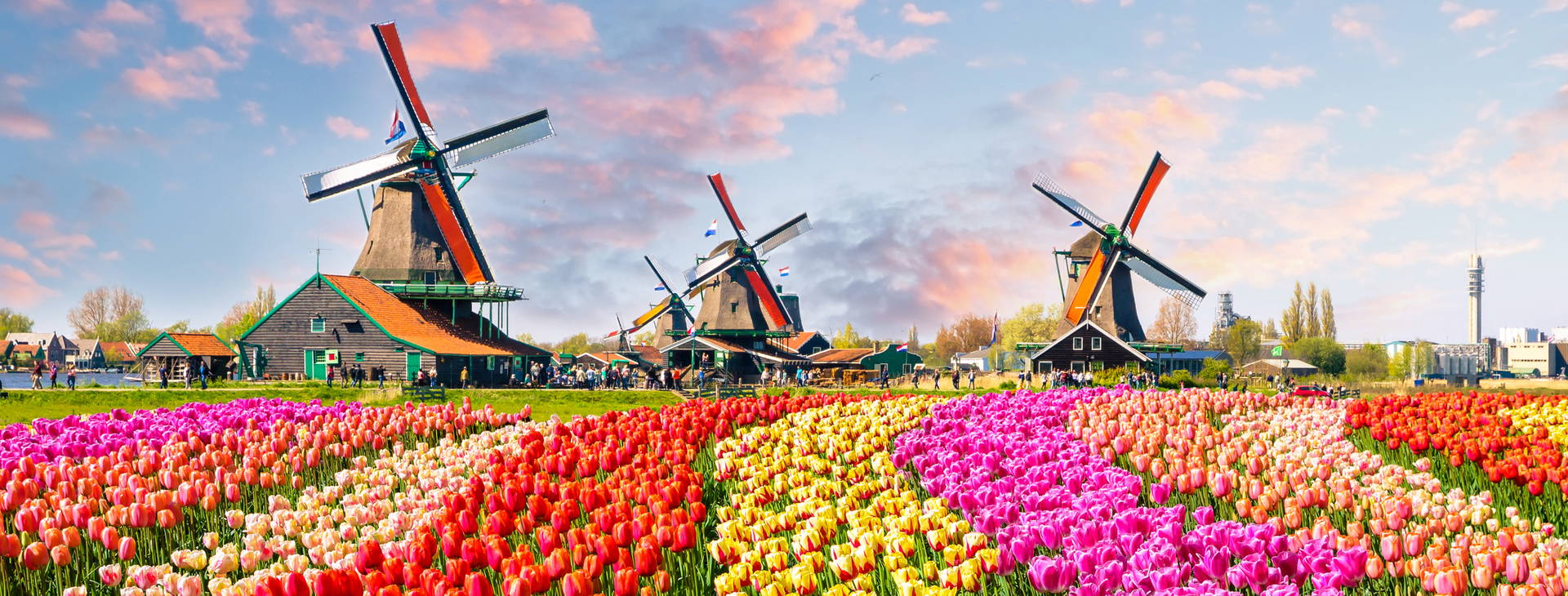 Ubytování AMC Obrázek0