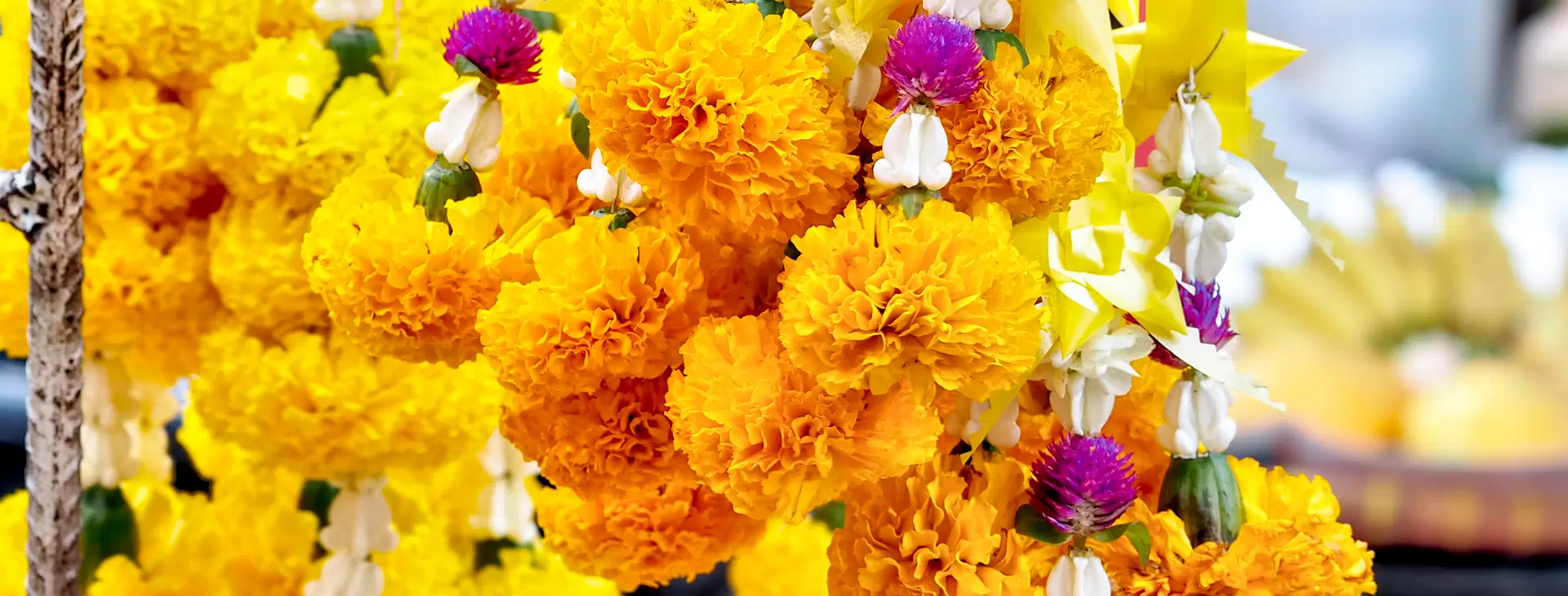 Ubytování TKW Obrázek22