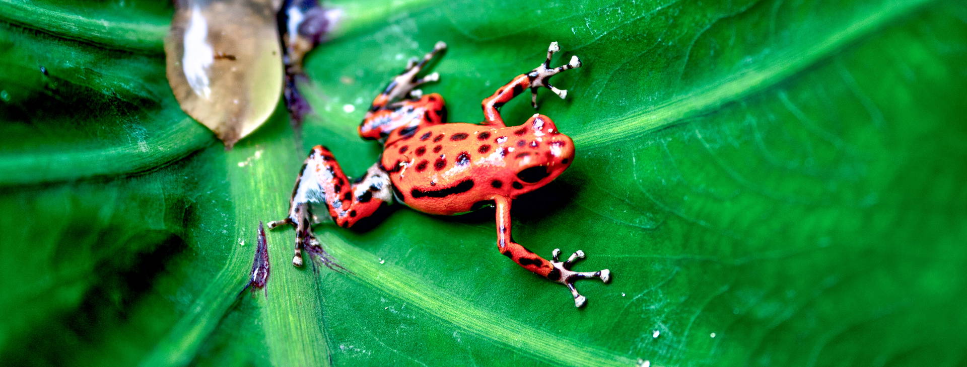 Ubytování PNK Obrázek14