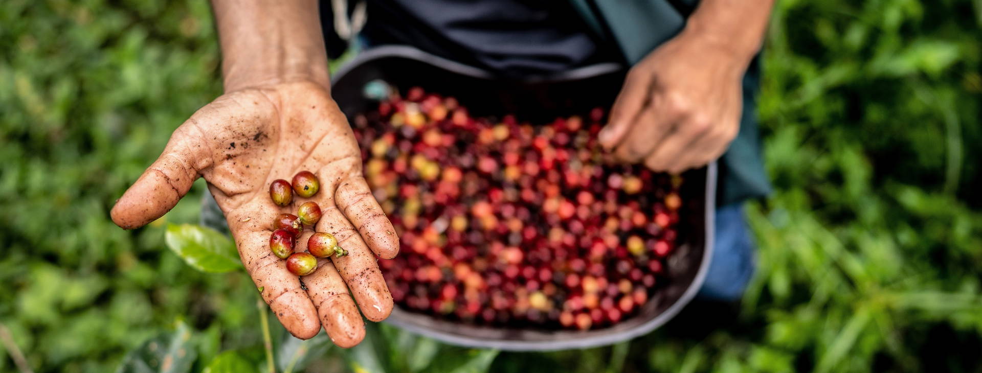 Ubytování KOD Obrázek3