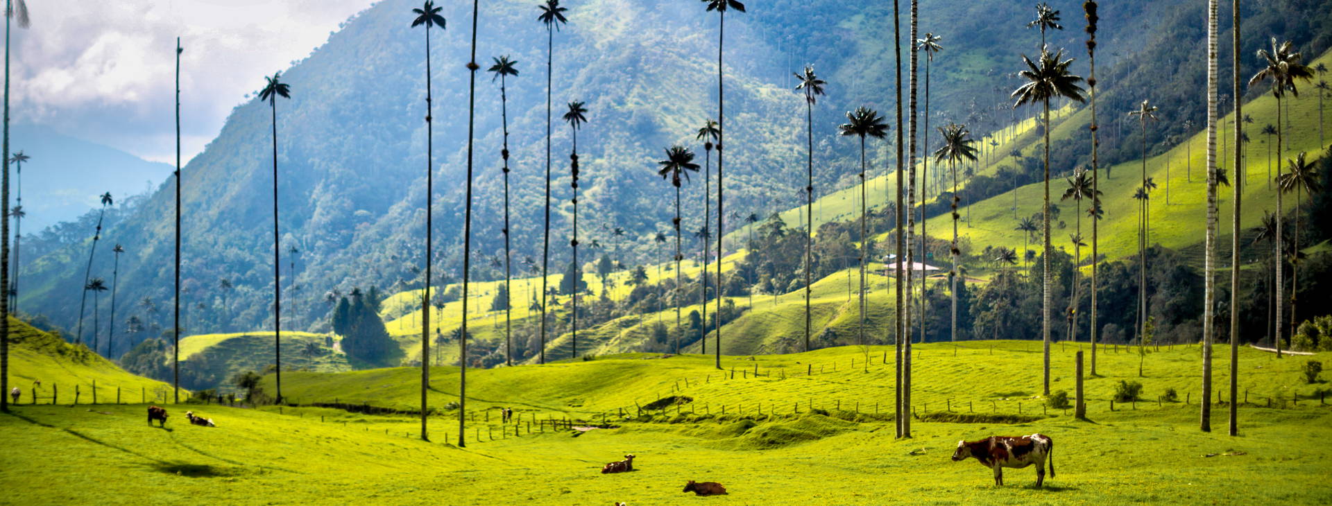 Ubytování KOD Obrázek14