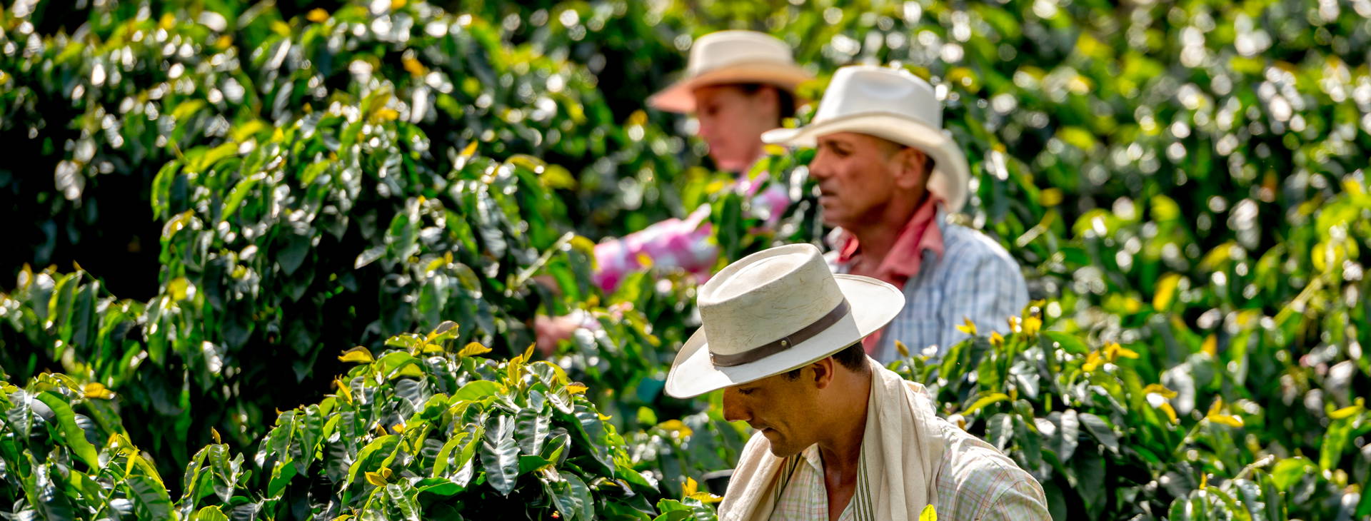 Ubytování KOD Obrázek19