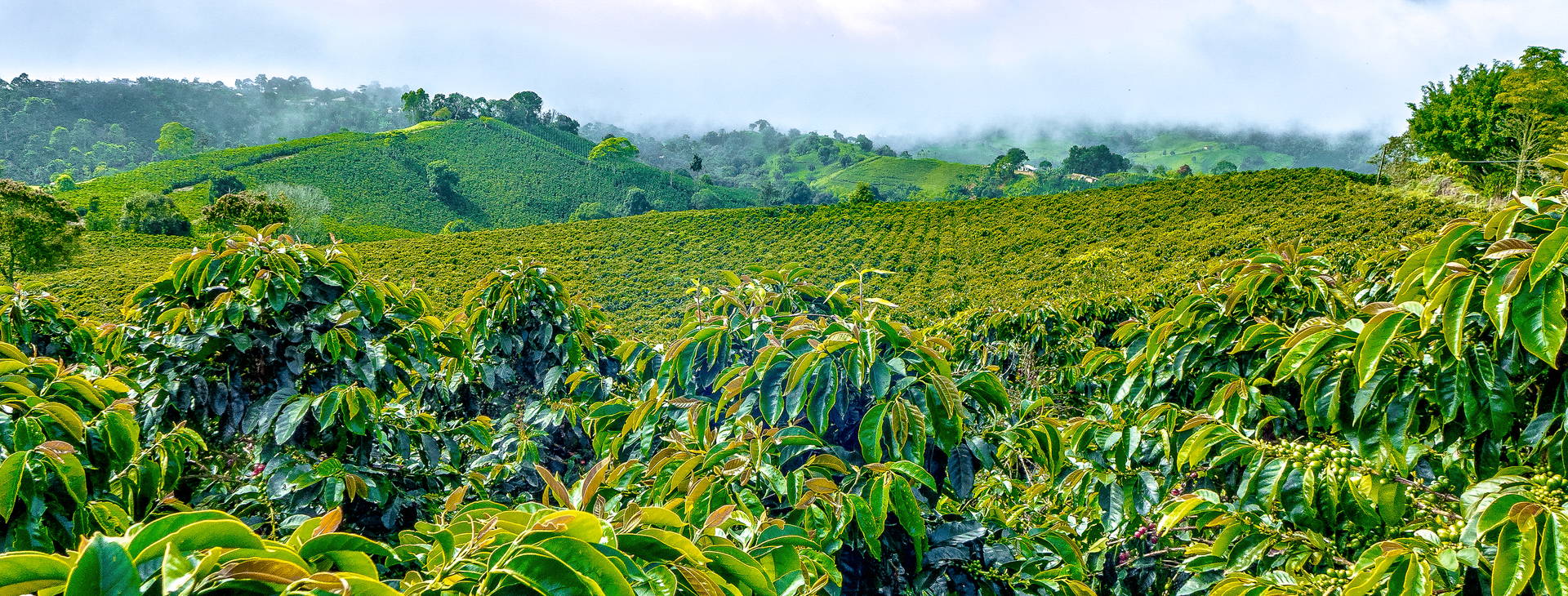 Ubytování KOD Obrázek22