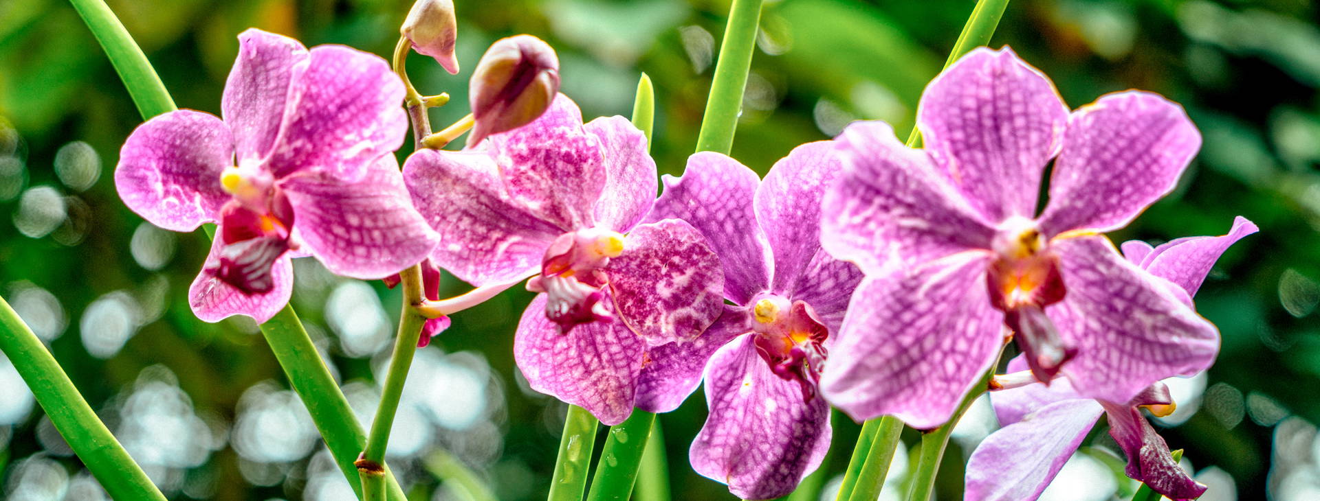  Ubytování SIT Obrázek12