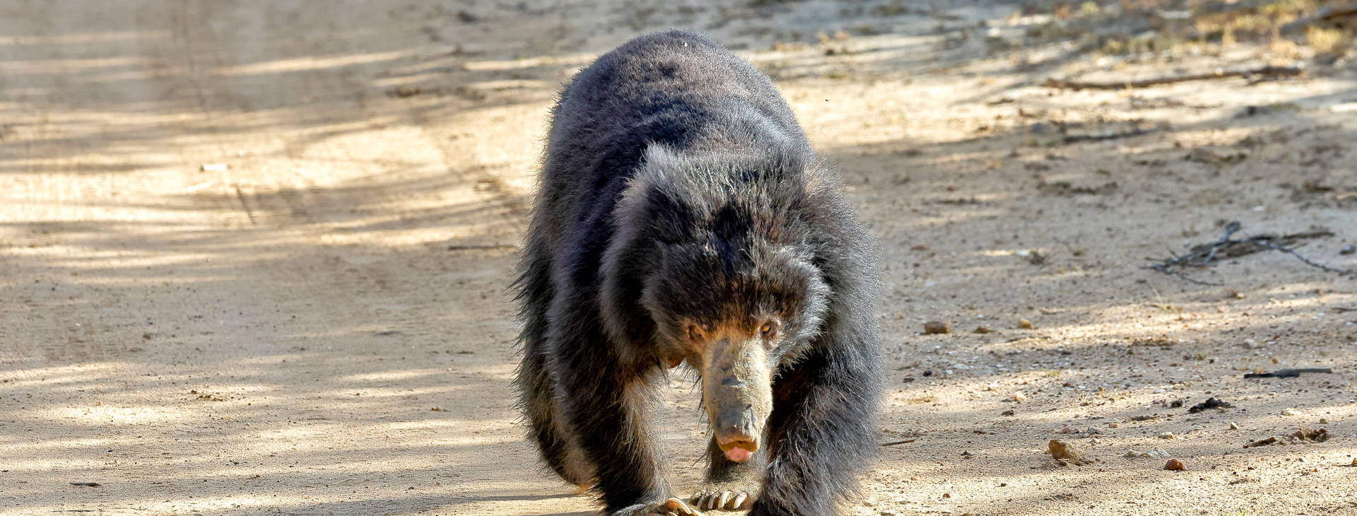Ubytování SLR Obrázek5
