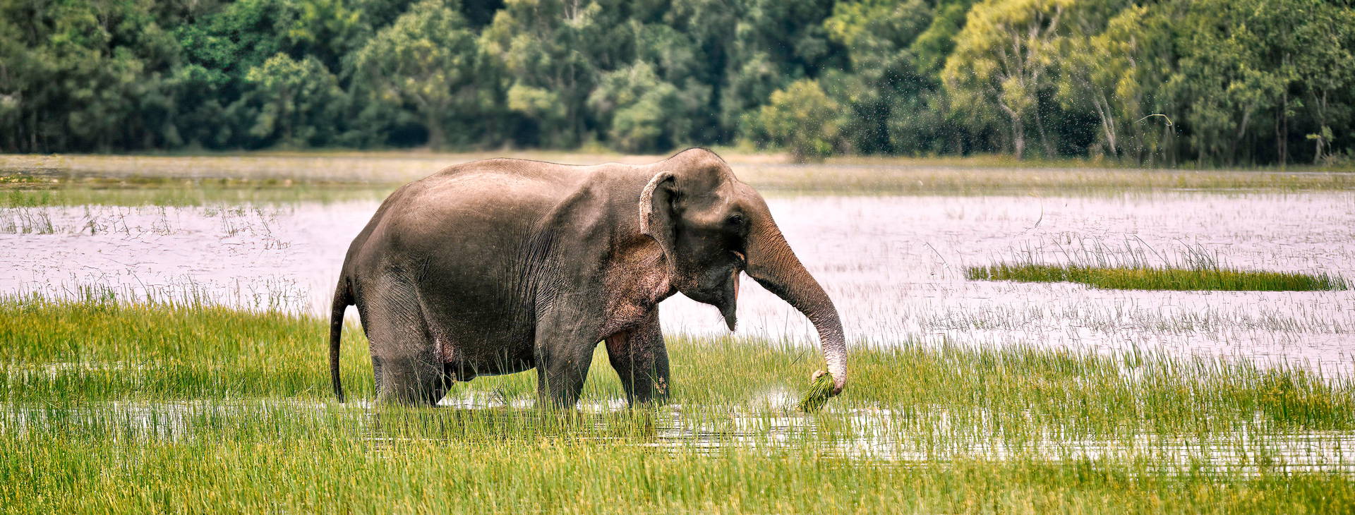 Ubytování SLR Obrázek3