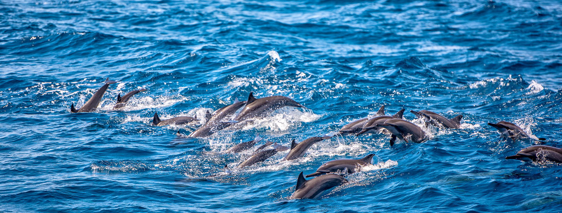 Ubytování SLR Obrázek4