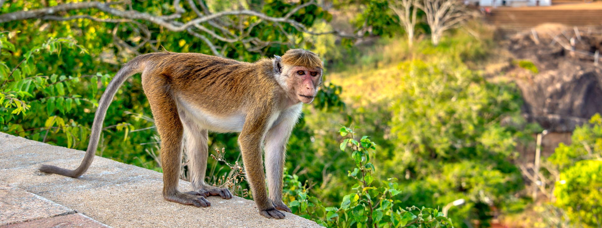 Ubytování SLR Obrázek16