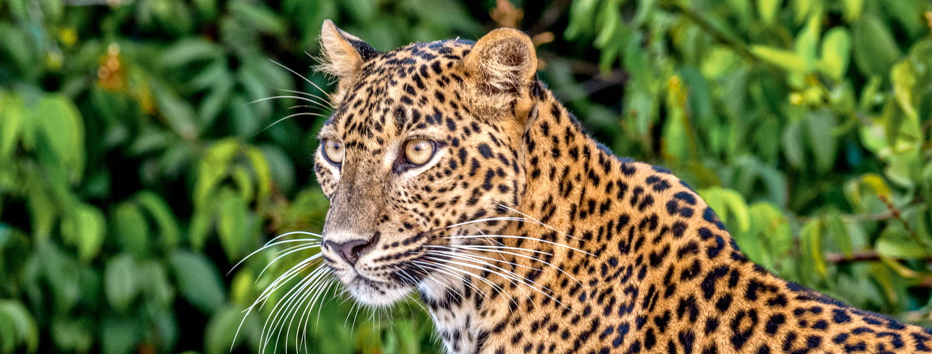 Ubytování SLR Obrázek19