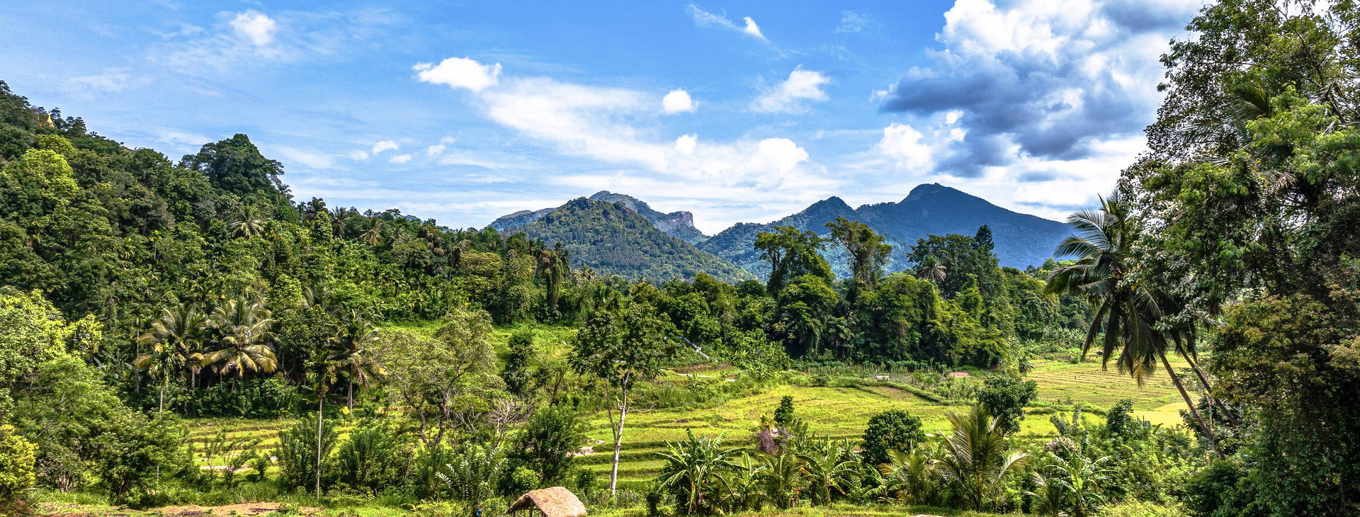 Ubytování SLR Obrázek8