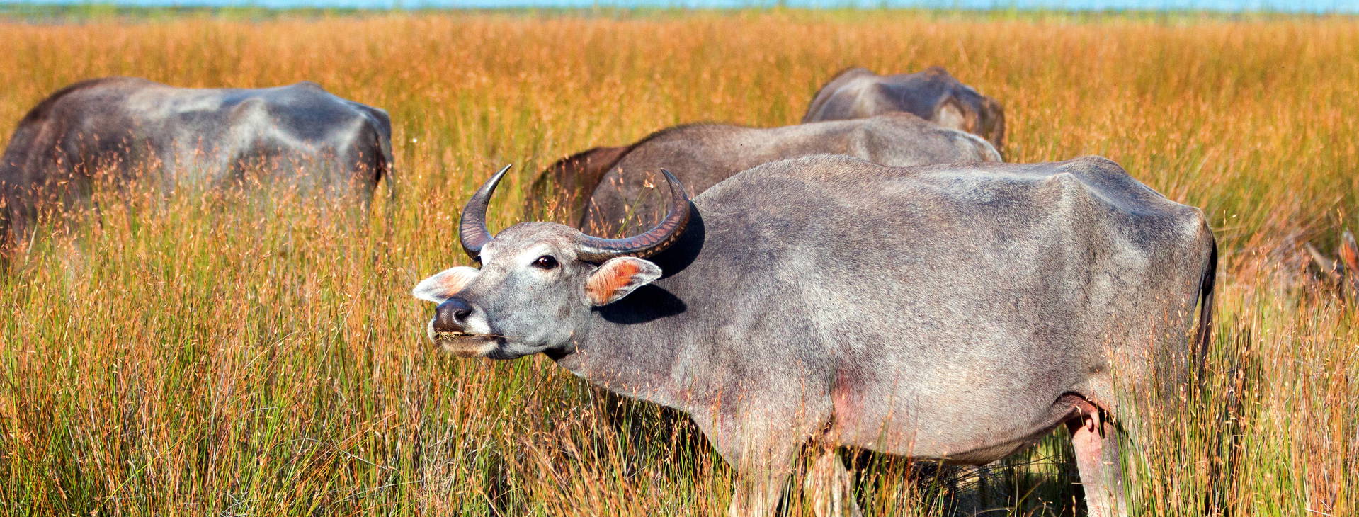 Ubytování SLR Obrázek23