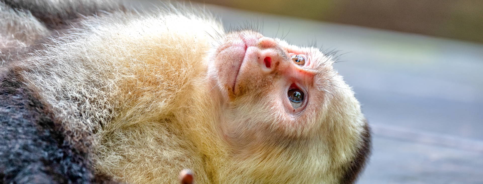 Ubytování KSL Obrázek1