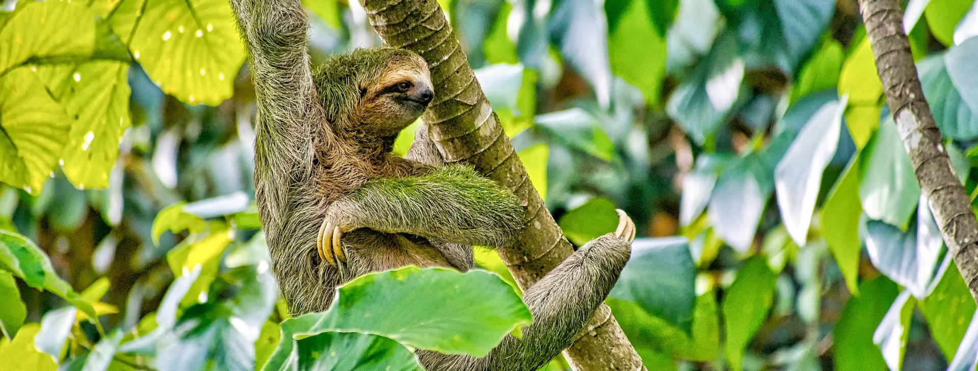 Ubytování KSL Obrázek4