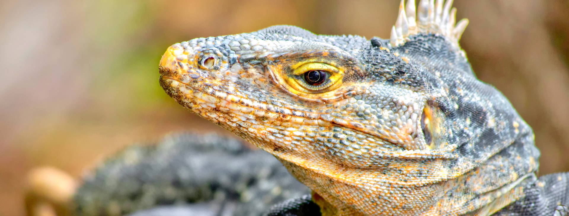 Ubytování KSL Obrázek13