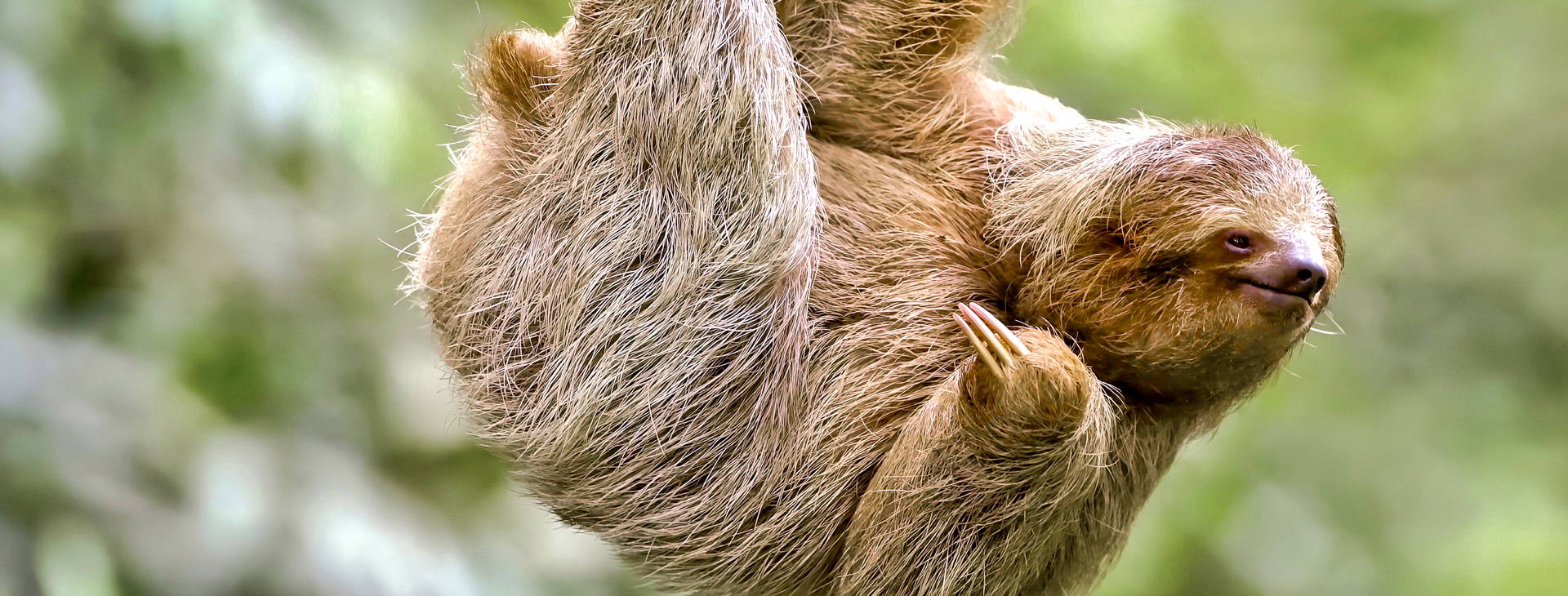 Ubytování KSL Obrázek17