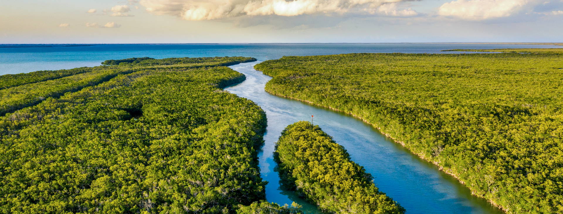 Ubytování UMF Obrázek1