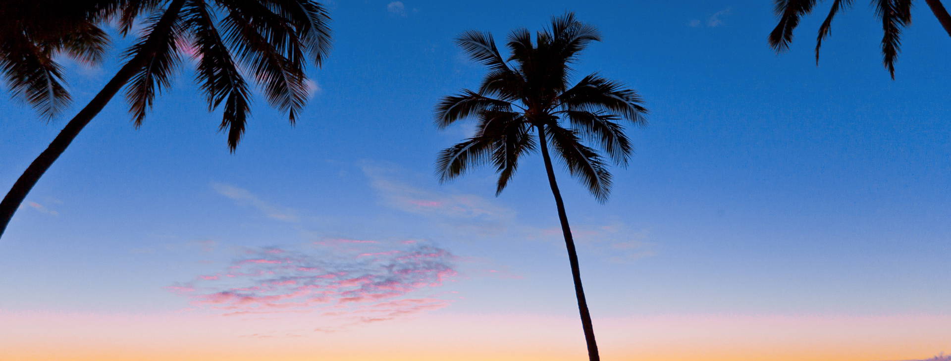 Ubytování UMF Obrázek13