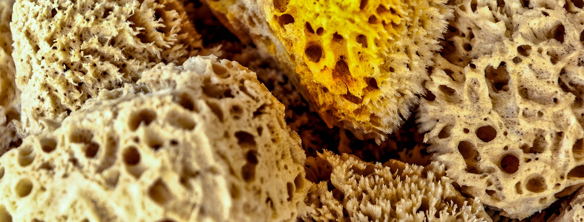 Ubytování UMF Obrázek14