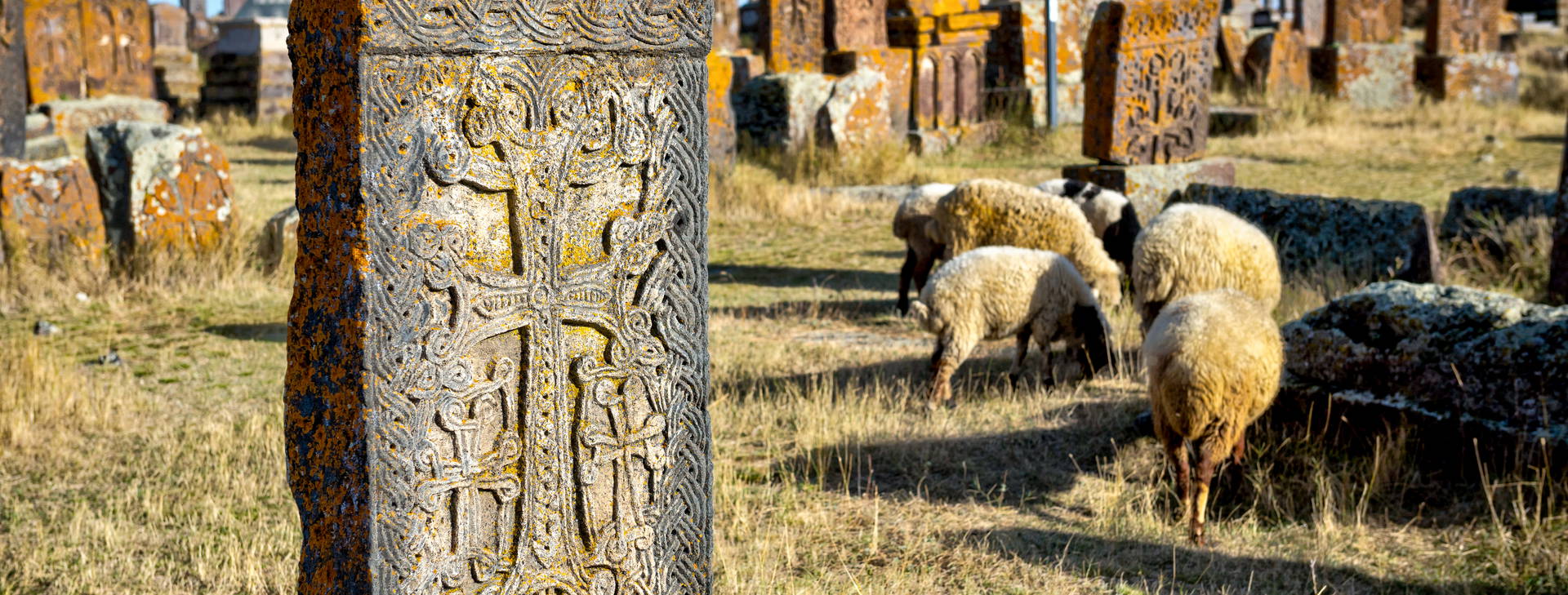 Ubytování ARM Obrázek10