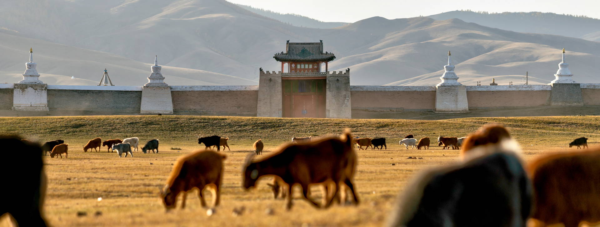 Ubytování MOL Obrázek13