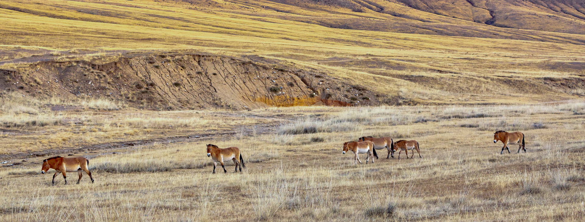Ubytování MOL Obrázek3