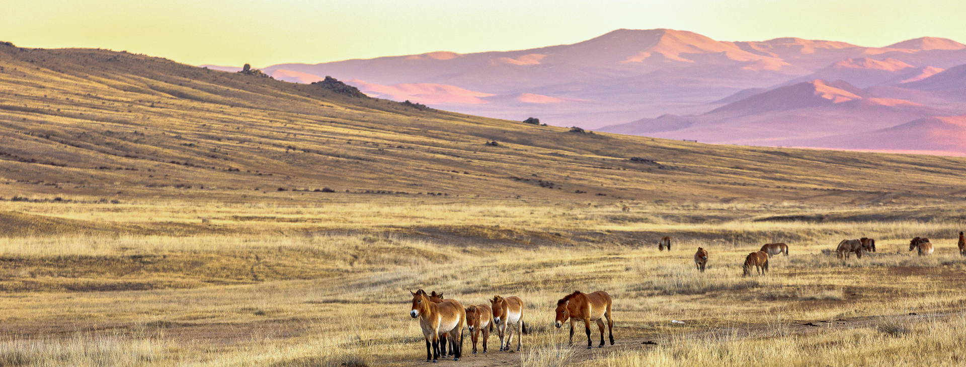 Ubytování MOL Obrázek20