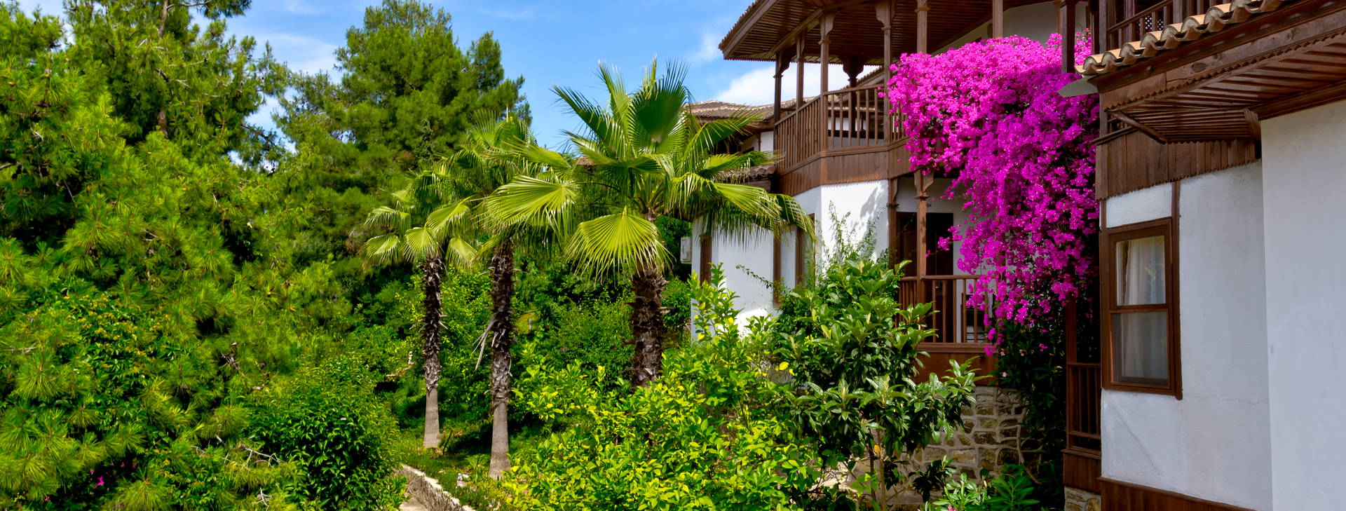 Club & Hotel Letoonia Obrázek10