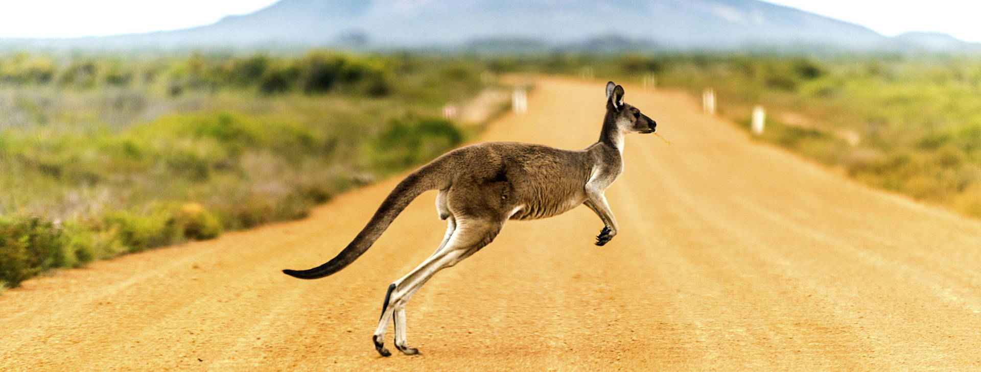 Ubytování AUZ Obrázek0