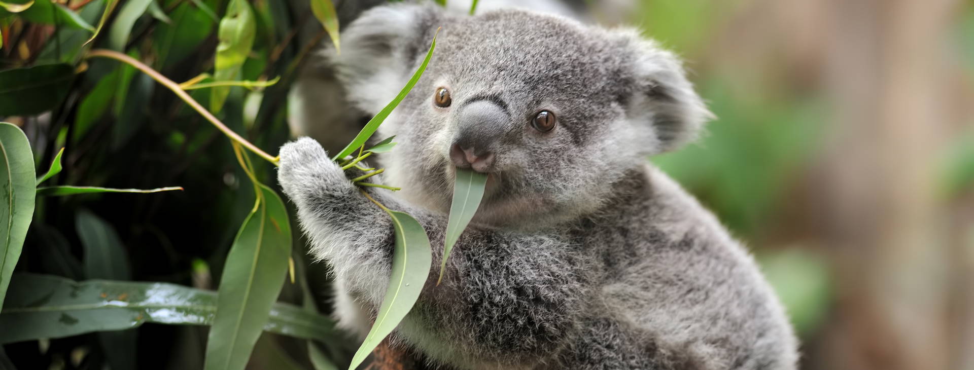 Ubytování AUZ Obrázek9