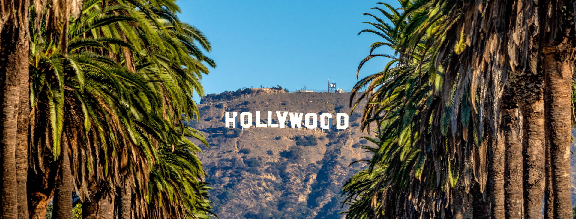 Ubytování LAM (Karneval Firenze) Obrázek2