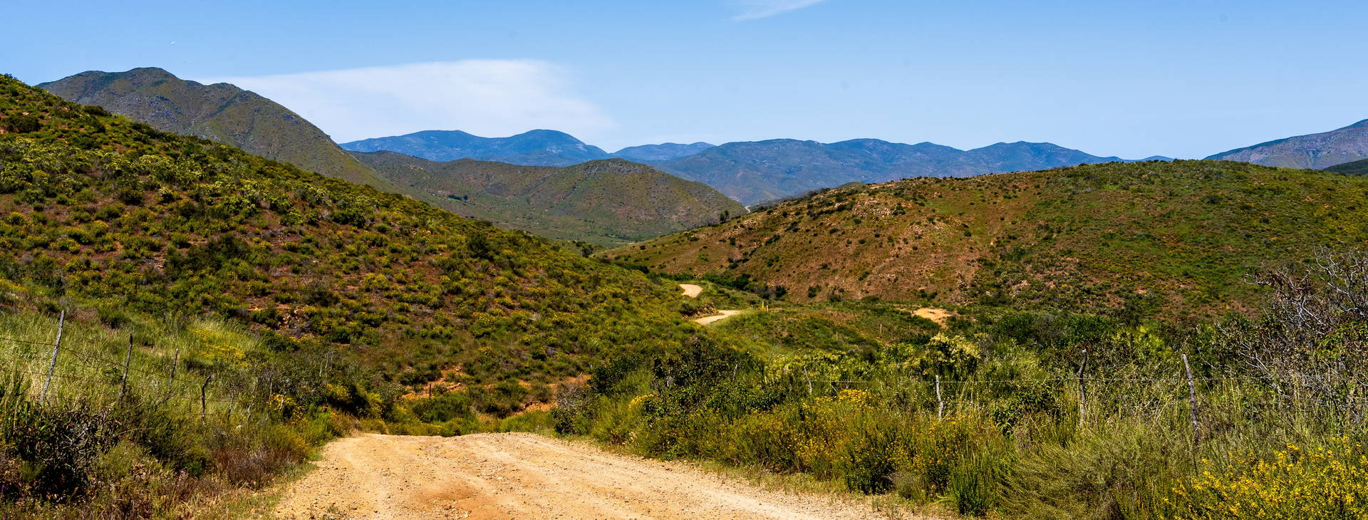 Ubytování LAM (Karneval Firenze) Obrázek26