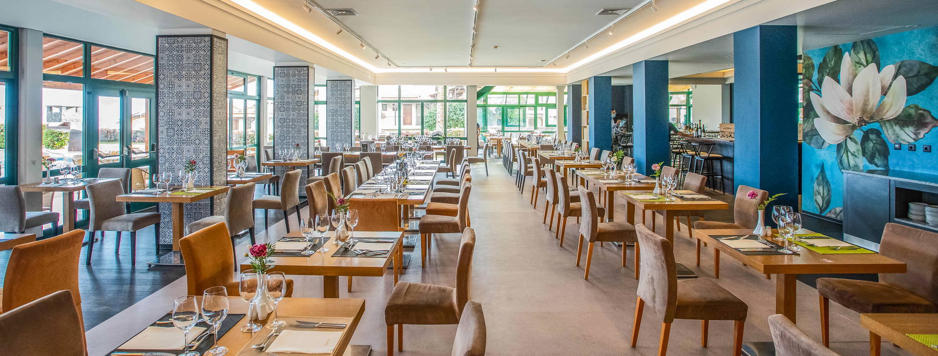 Sentido Galosol Obrázek14