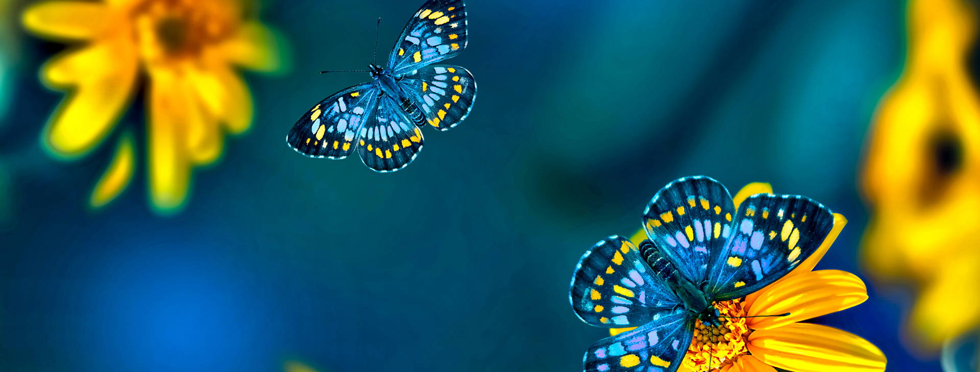 ﻿Ubytování ECU Obrázek5