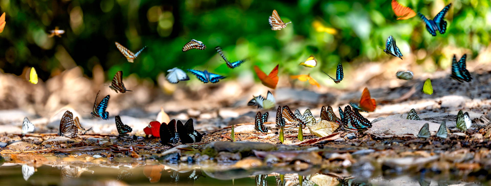 ﻿Ubytování ECU Obrázek12