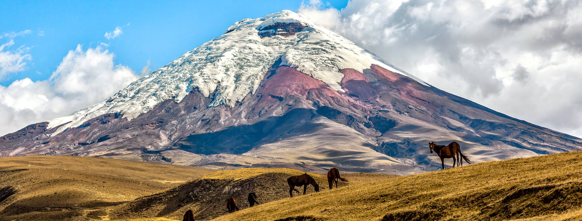 ﻿Ubytování ECU Obrázek16