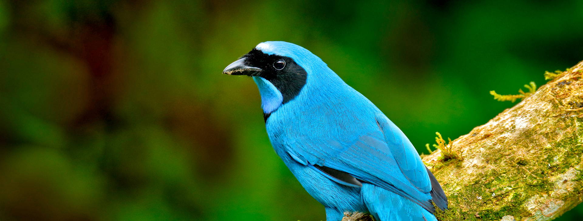 ﻿Ubytování ECU Obrázek20