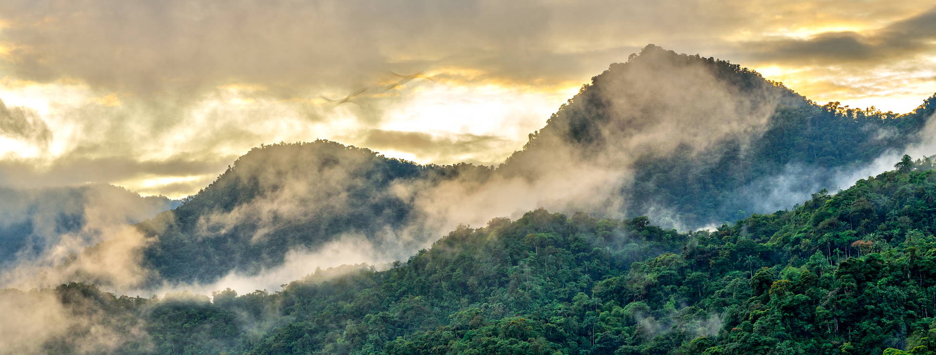 ﻿Ubytování ECU Obrázek31