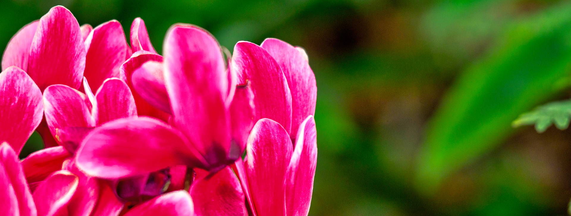 ﻿Ubytování ECU Obrázek28