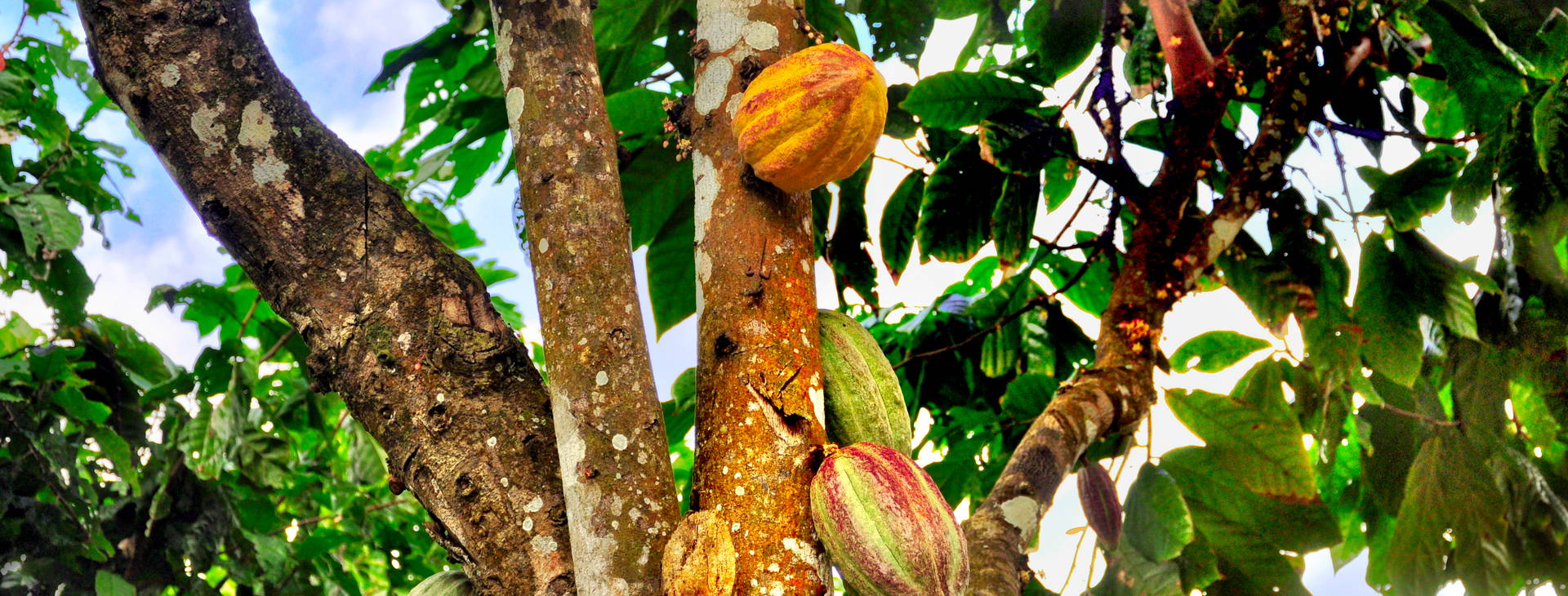 ﻿Ubytování ECU Obrázek34