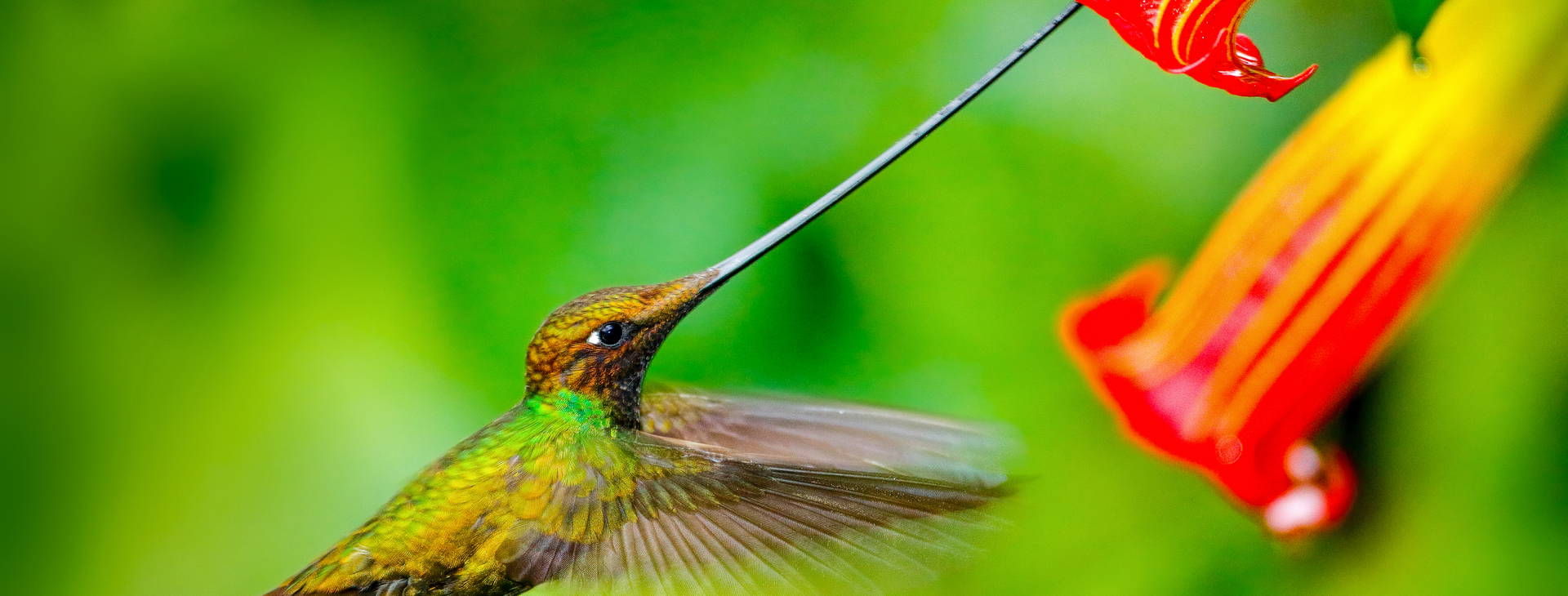 ﻿Ubytování ECU Obrázek29