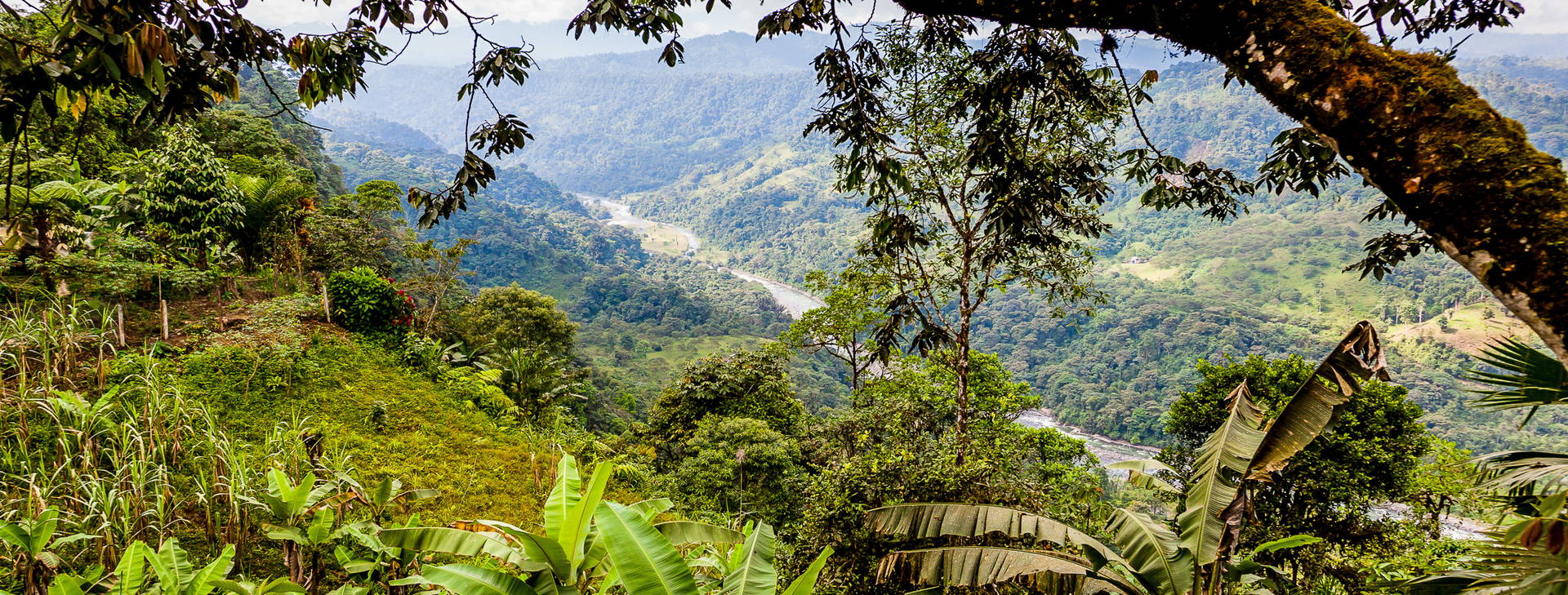 ﻿Ubytování ECU Obrázek33