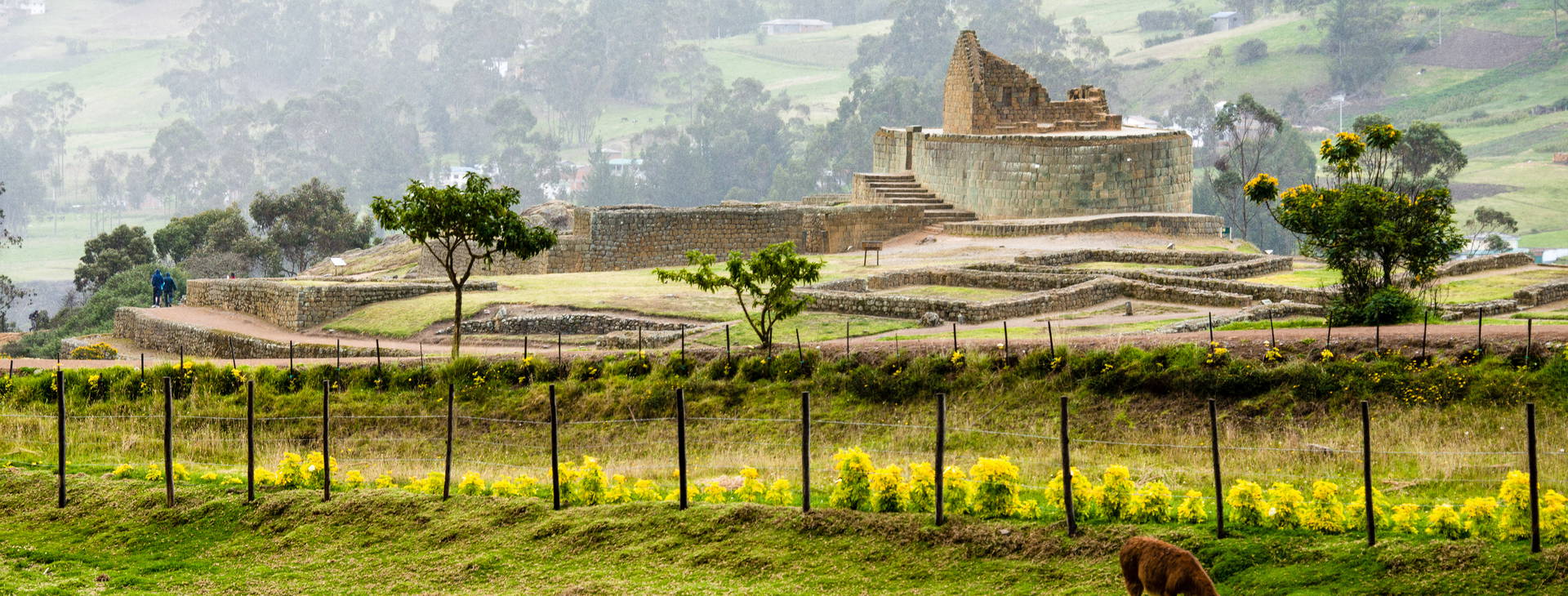 ﻿Ubytování ECU Obrázek37