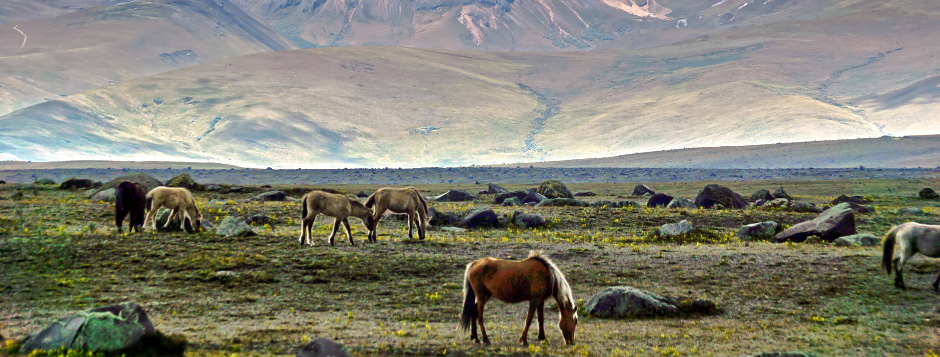 ﻿Ubytování ECU Obrázek38