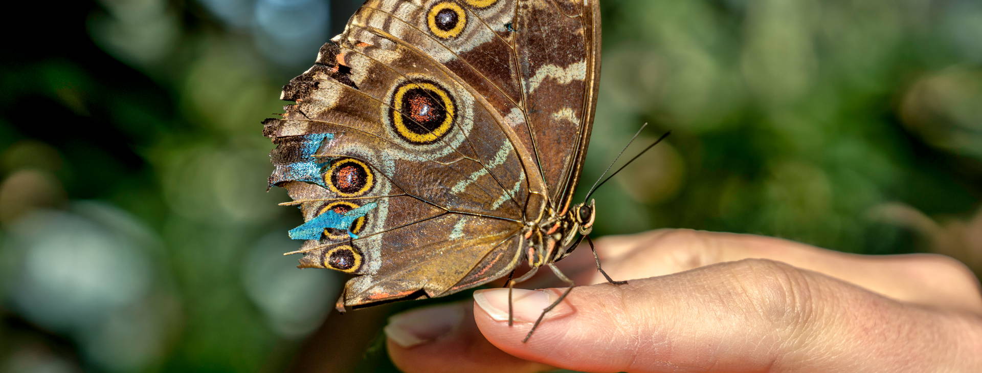 ﻿Ubytování ECU Obrázek44