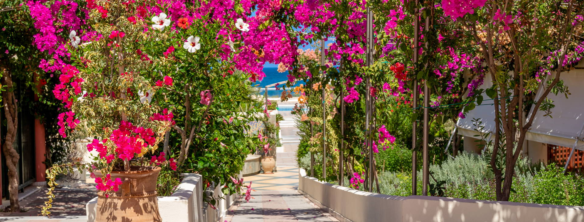 Hydramis Palace Obrázek20