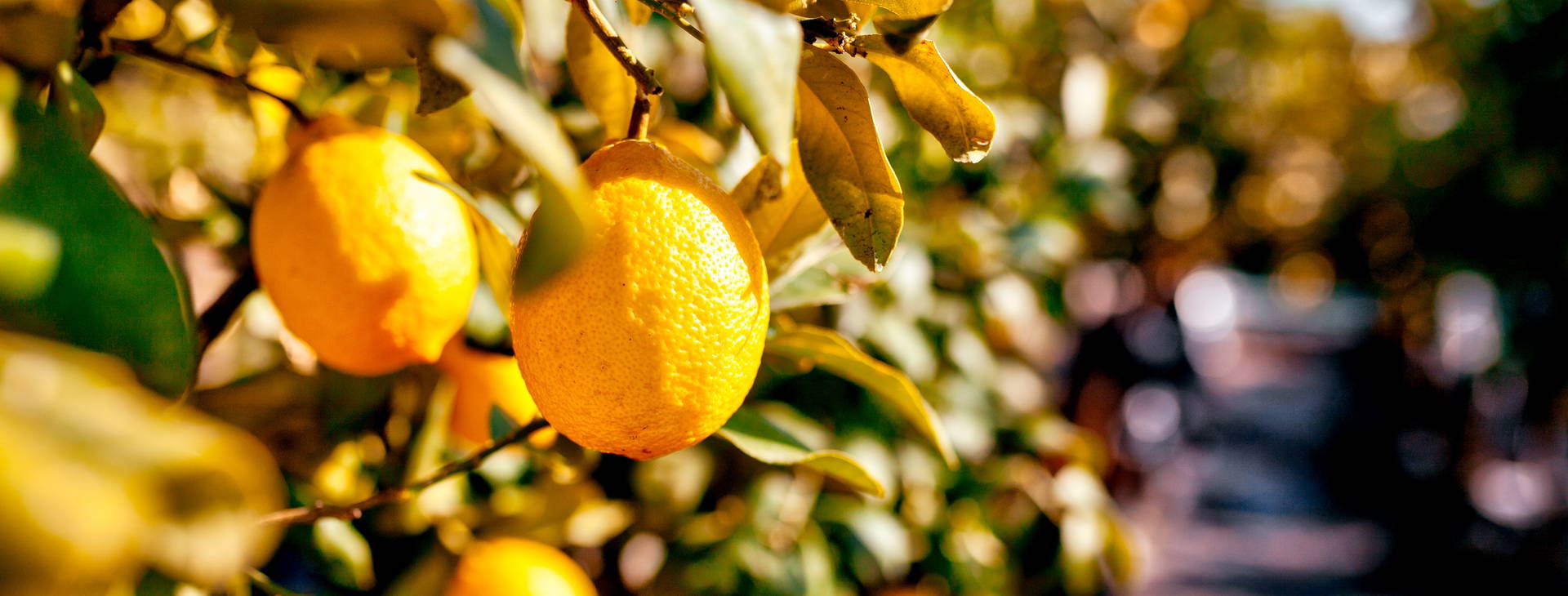 Ubytování NPC Obrázek5