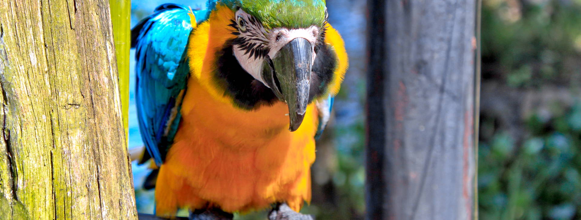 Ubytování WEB Obrázek4