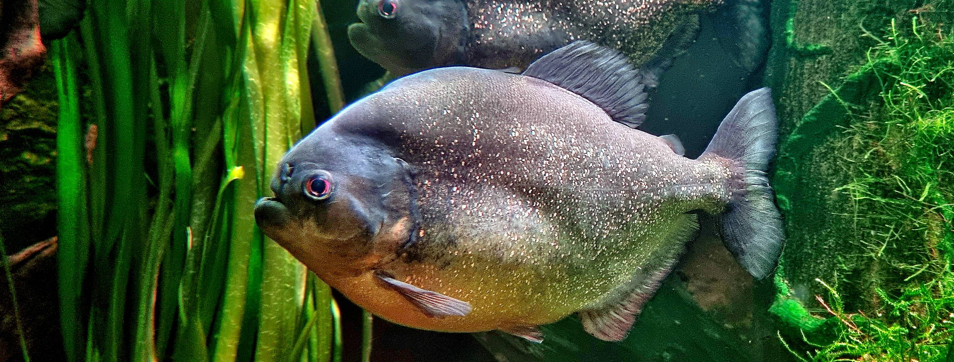 Ubytování WEB Obrázek11