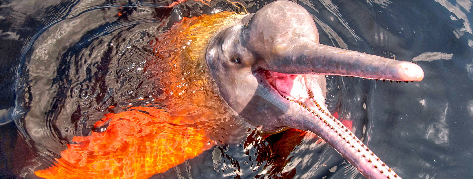 Ubytování WEB Obrázek8